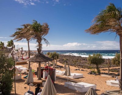 Bright apartment in Primavera PM193