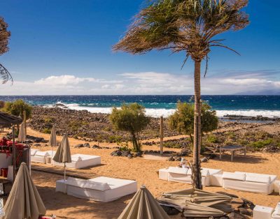 Bright apartment in Primavera PM193