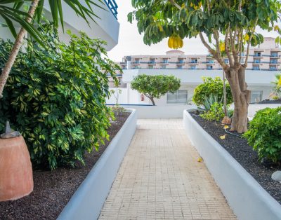 Cozy Apartment in Playa Paraiso PP21