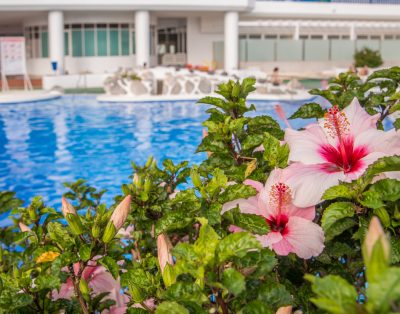 Cozy Apartment in Playa Paraiso PP21