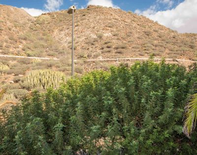 Wonderfull apartment in Palm Mar PM195