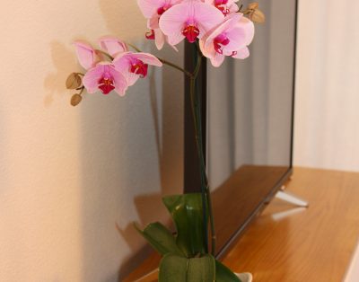 Super apartment in Apartamerica LA140