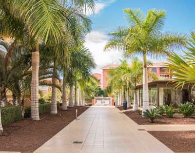 Wonderfull apartment in Palm Mar PM195