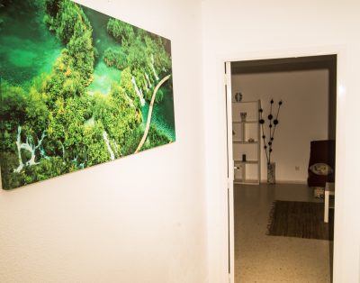 Villa with private swimming pool First line CS93