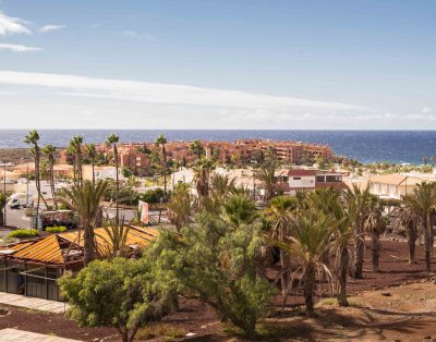 Wonderfull apartment in Palm Mar PM195