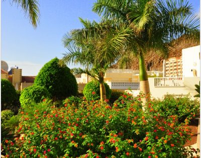 Modern towhouse in Palm Mar PM/182