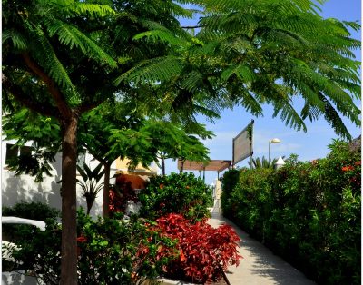 Modern towhouse in Palm Mar PM/182