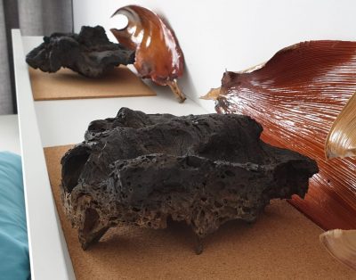 NEW Apartment in Ocean Garden PP005