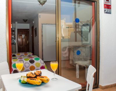 Studio Apartment in Las Americas LA132