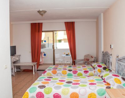 Studio Apartment in Las Americas LA132