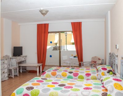 Studio Apartment in Las Americas LA132