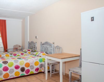 Studio Apartment in Las Americas LA132