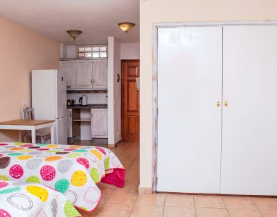 Studio Apartment in Las Americas LA132