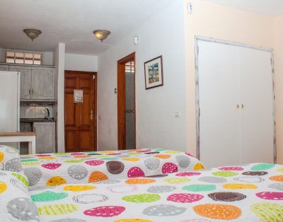 Studio Apartment in Las Americas LA132