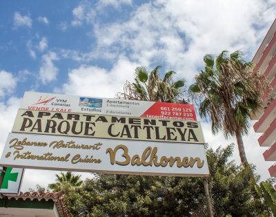 Studio Apartment in Las Americas LA132