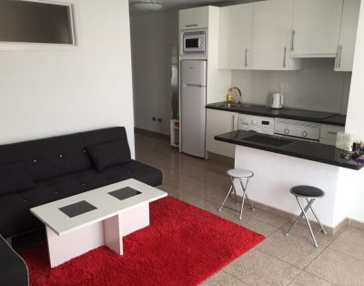 Two Bedroom Apartment In Las Floritas LA53